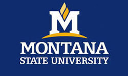 MSU Logo
