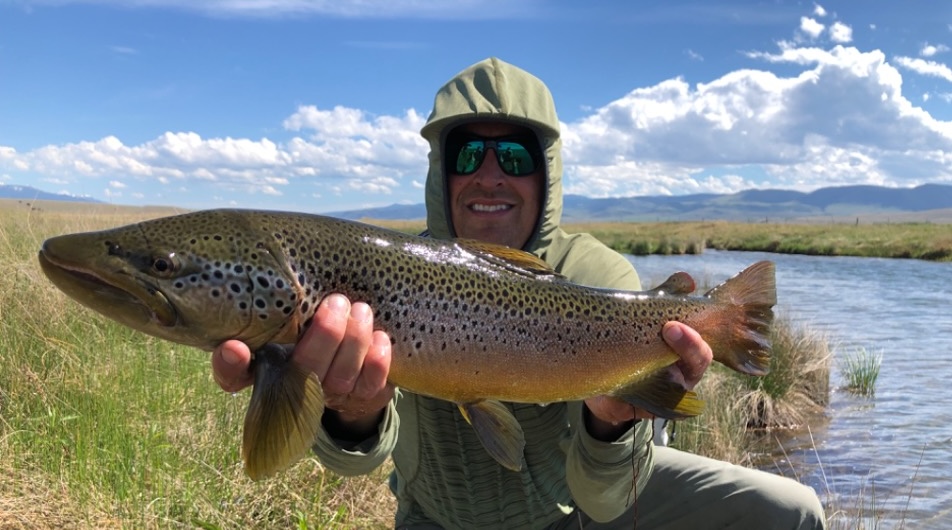 Trout in clear river water