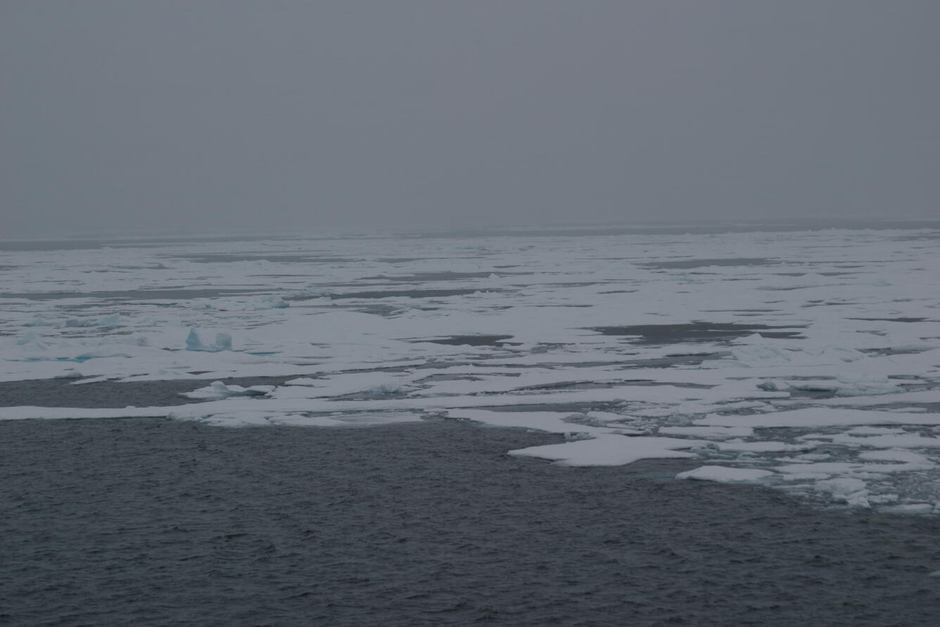 Image: Arctic Sea Ice