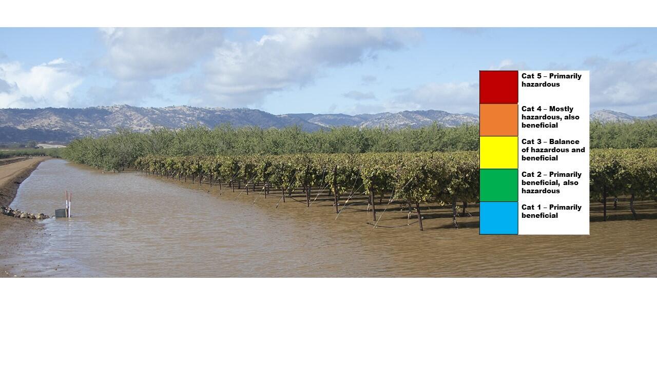 A flooded orchard, with a graphic showing a 1-5 atmospheric river rating scale on top that indicates a range from hazardous to beneficial