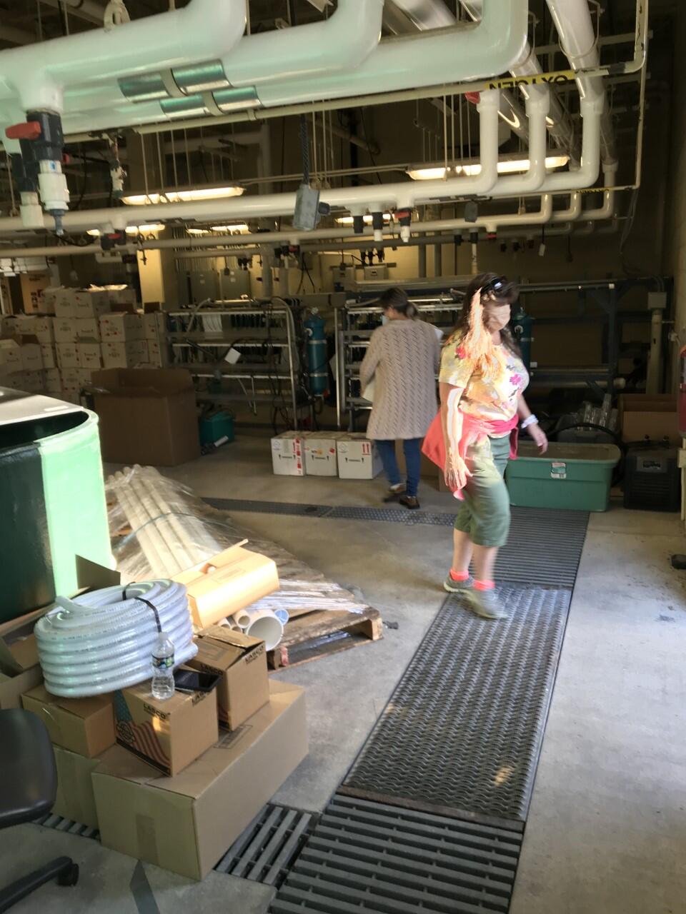 Two women carry boxes in a large warehouse room.