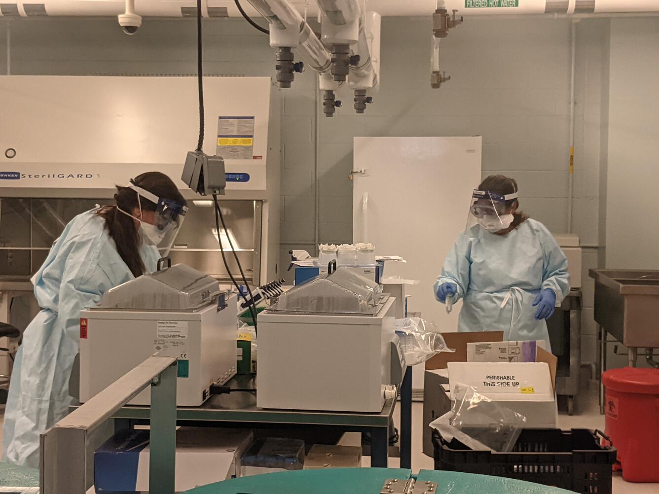 Two women in full protective gear work on samples in a lab.
