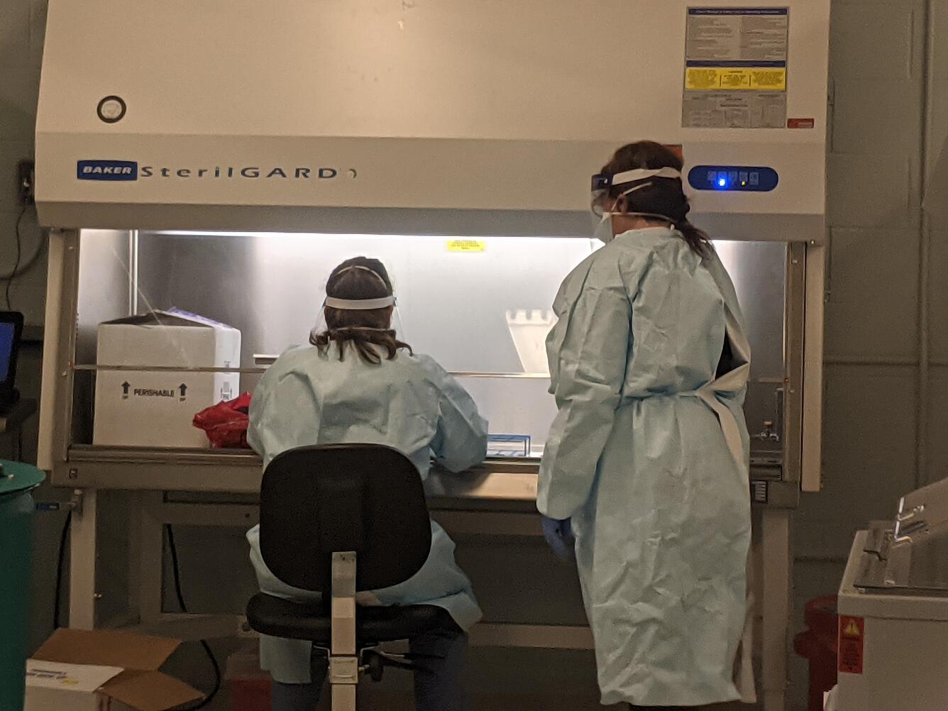Two women in full protective gear work on samples in a lab.