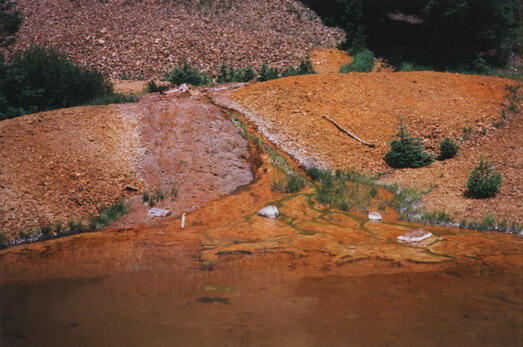 Image of erosion of river bank into Animas River.