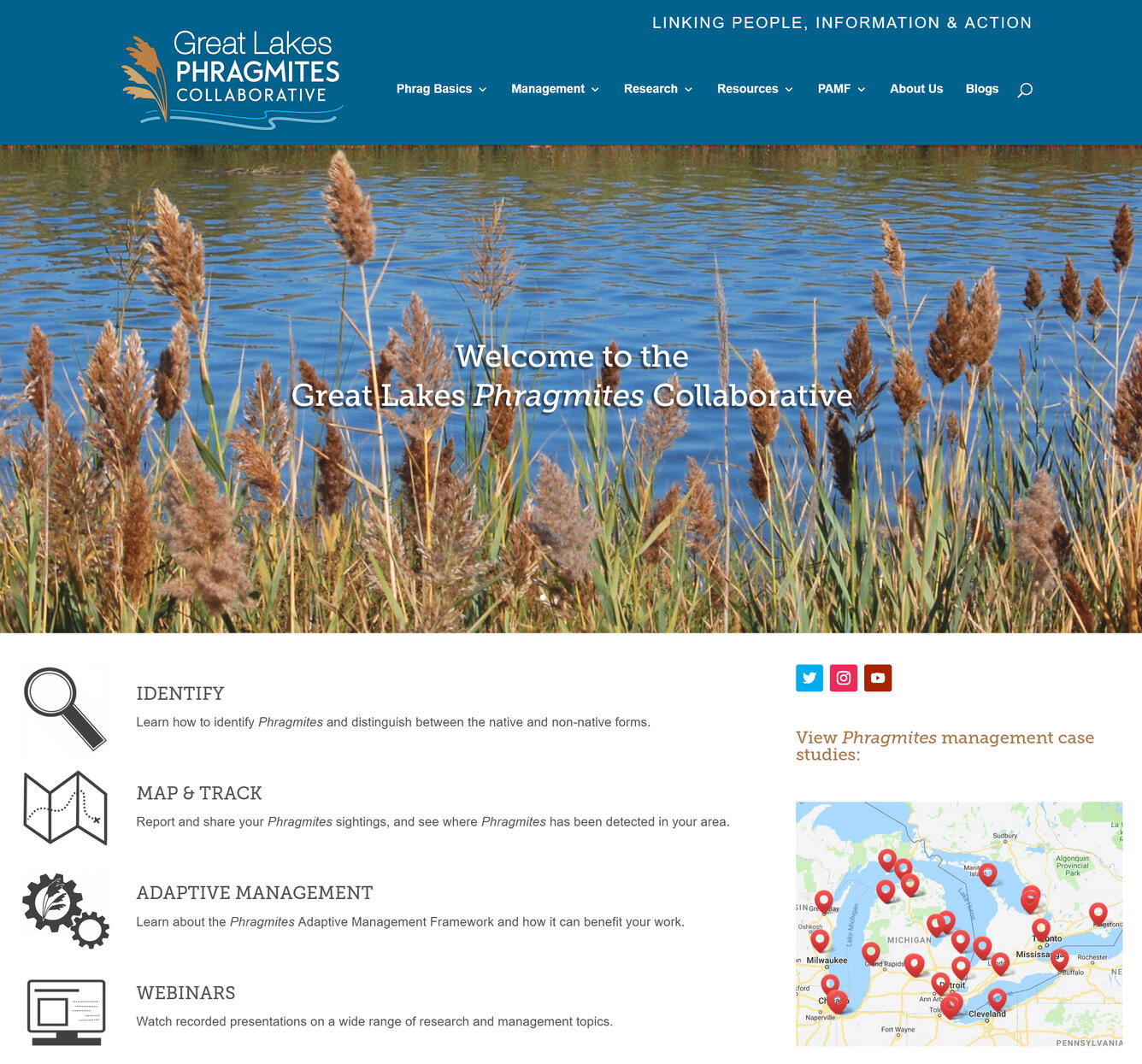 Great Lakes Phragmites Collaborative Home Page