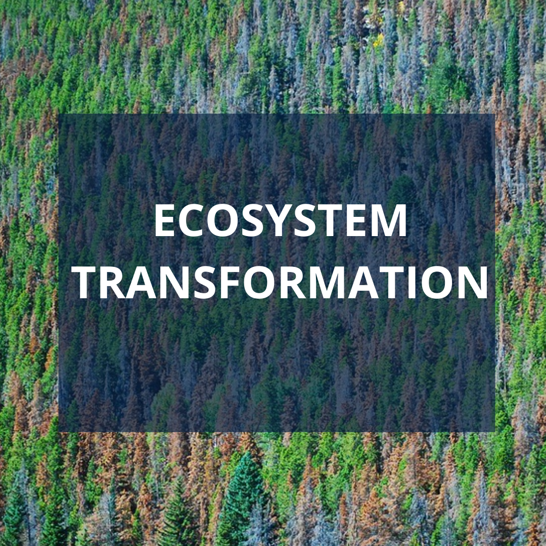 Ecosystem transformation