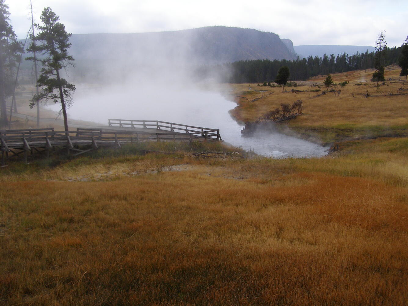 Terrace Springs, northeast of Madison Junction, Yellowstone National Park