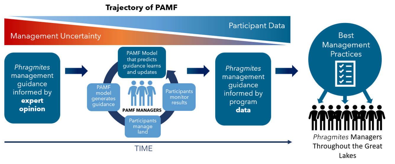 Trajectory of PAMF graphic