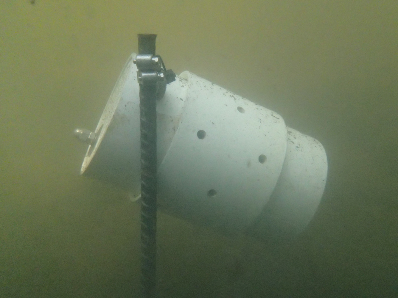 Underwater passive sampler attached to rebar stake in cloudy green water
