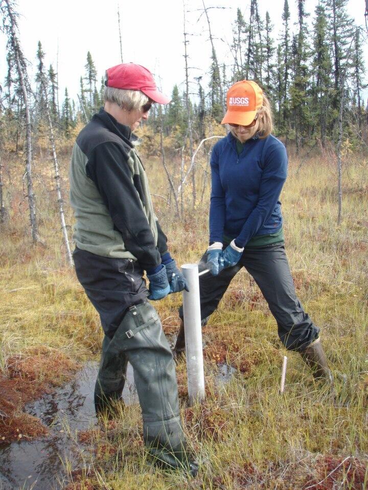 scientists obtaining peat core