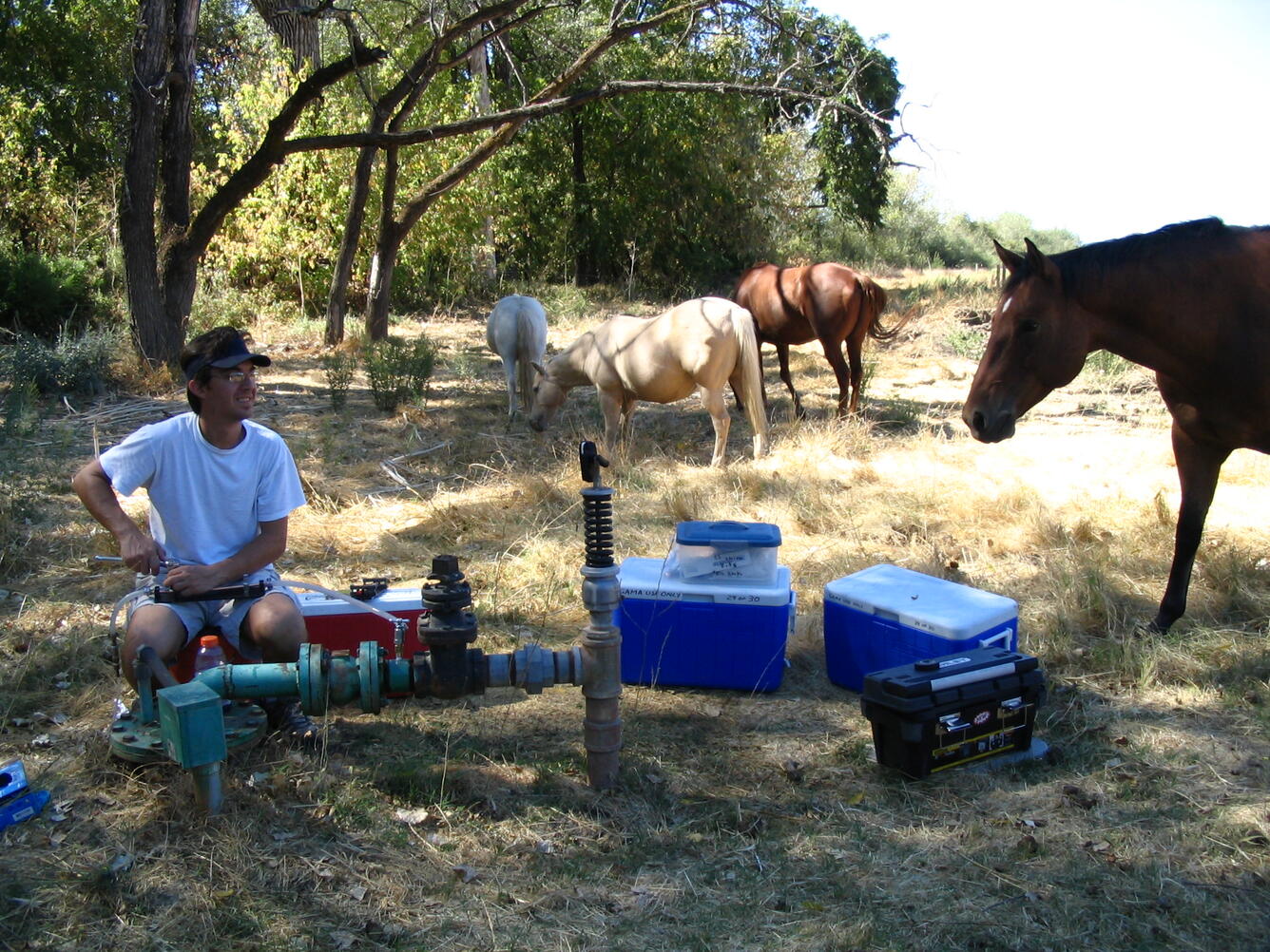 a man sitting in a field in front of a groundwater well with 3 coolers. A curious horse is standing nearby.