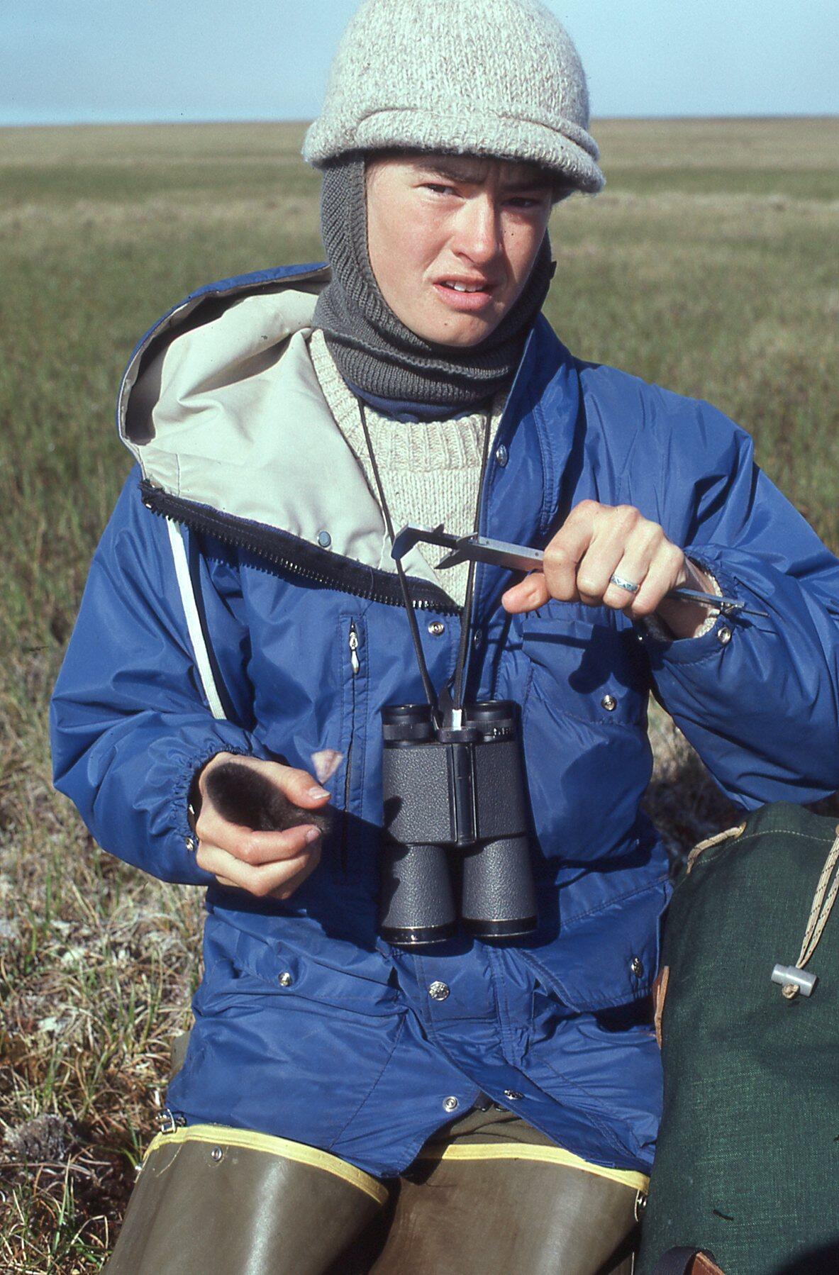 Biologist holding a long-tailed Jaeger chick in right hand to measure bird. Binoculars around neck, dressed for cold weather.