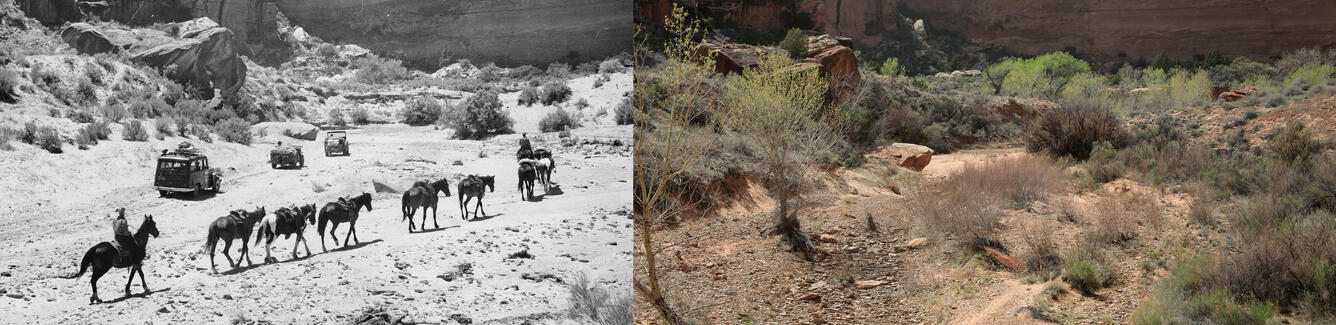 Repeat photograph composite, Canyonlands National Park - Salt Creek just upstream from Peekaboo Arch, 1965 and 2015