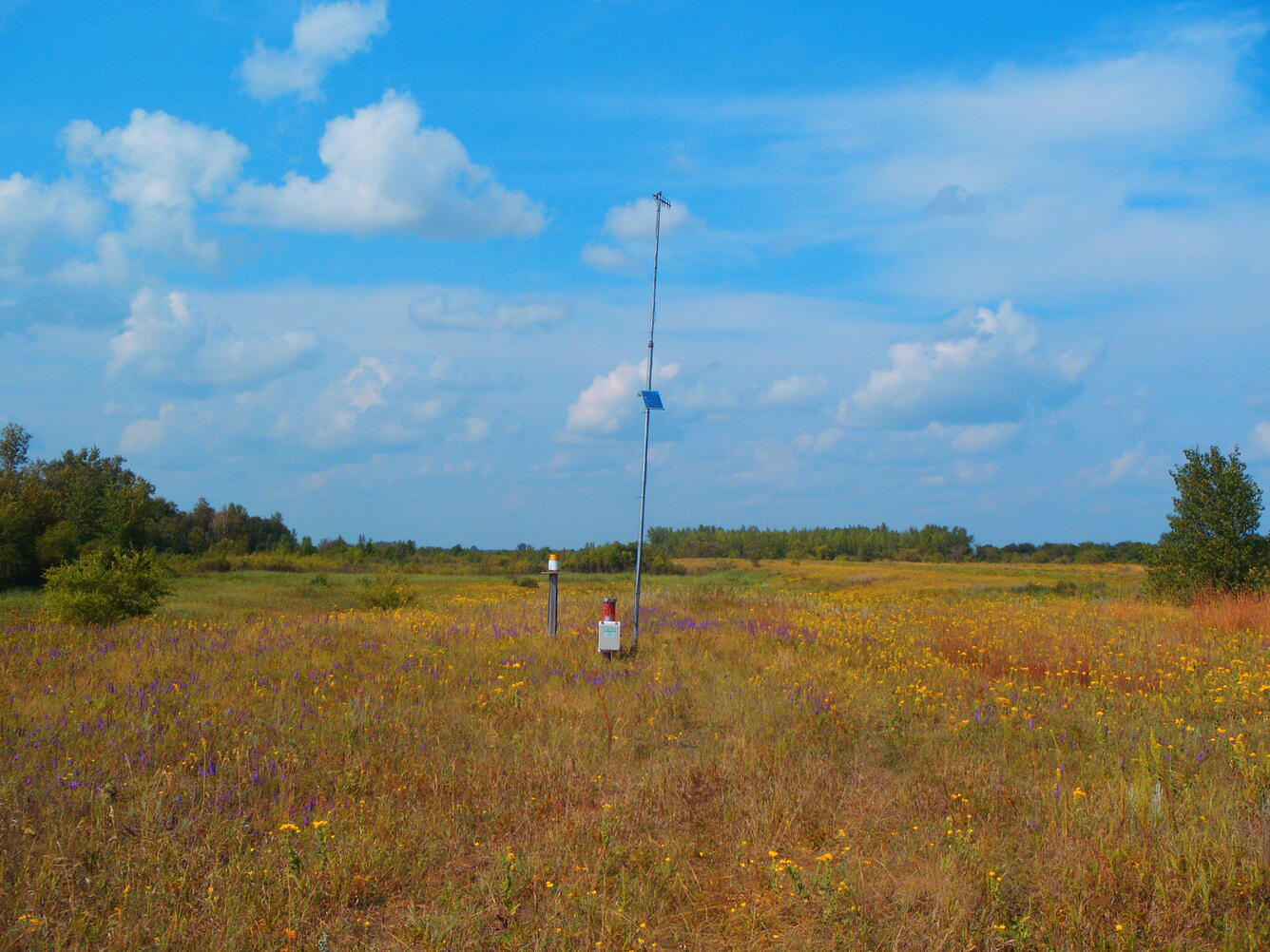 USGS Monitoring Well - Wetland and Prairie Restoration Hydrology Study Glacial Ridge National Wildlife Refuge, Mentor, MN