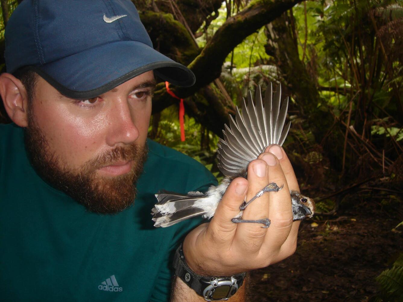 Nolan Lancaster inspects a bird for parasites