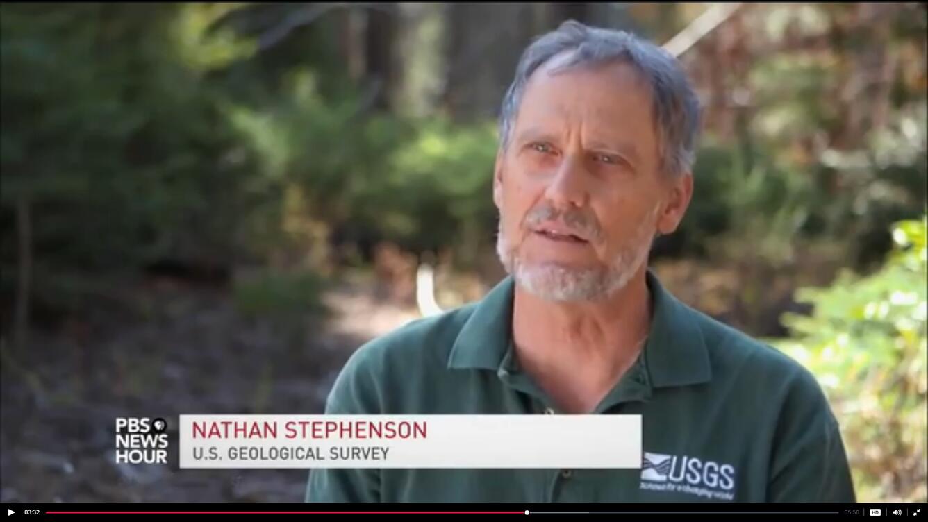 Screenshot of a PBS interview with Nate Stephenson