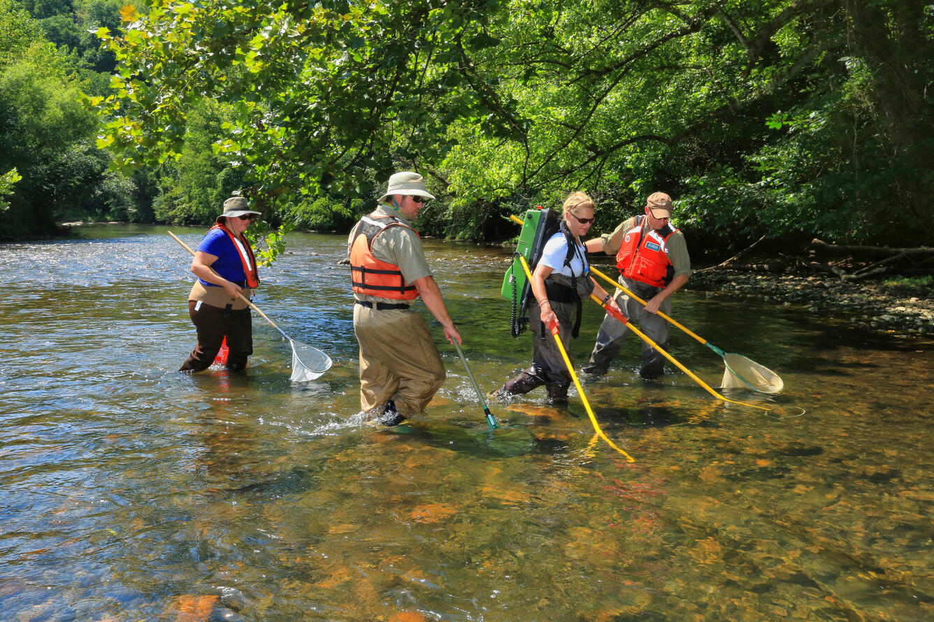 USGS scientists electrofishing in the Smith River, Virginia