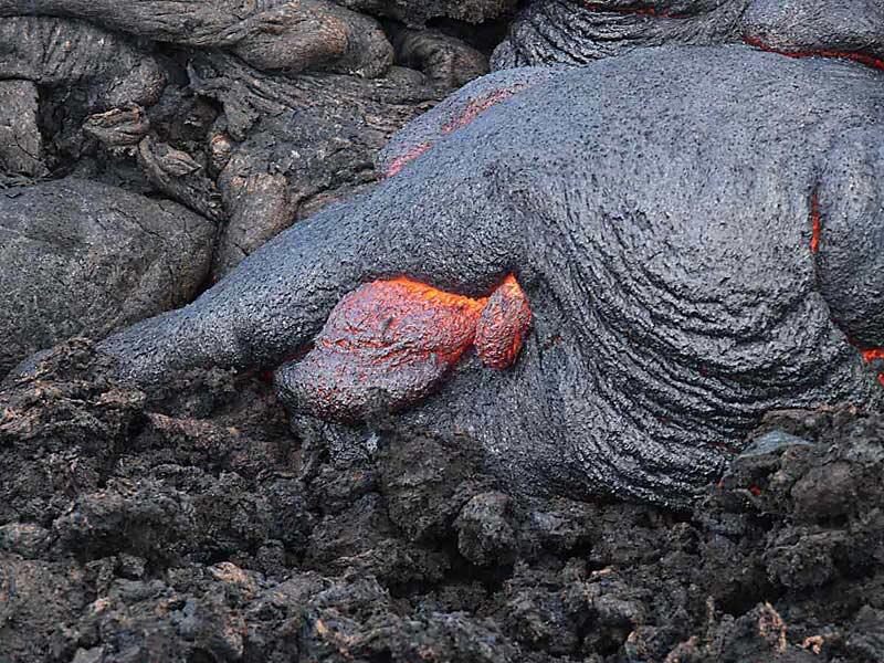 This is a photo of sluggish lava emerging from elephant-skinned toe of pahoehoe, 1540-foot elevation, Pulama pali.
