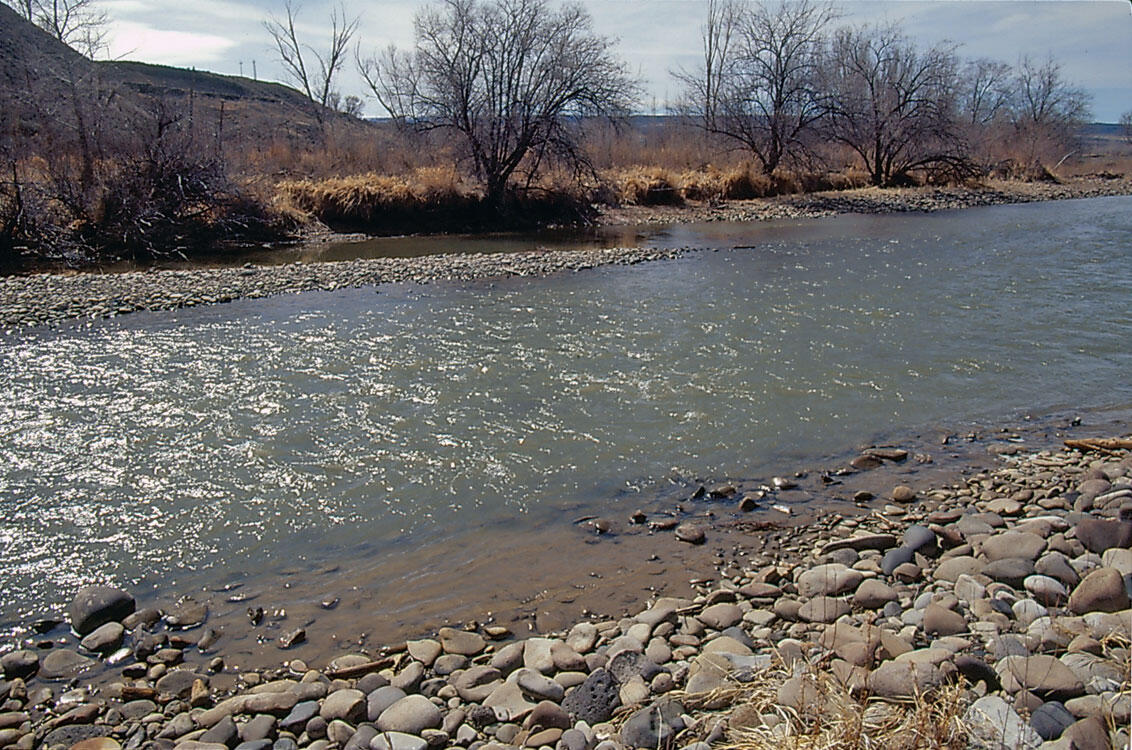 North Fork Gunnison River near Hotchkiss - March 2000