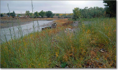 North Fork Gunnison River near Hotchkiss, October 2001