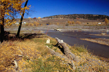 Uncompahgre River at Ridgway - October 2003