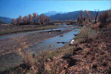 Uncompahgre River at Ridgway, October 2003