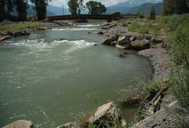 Uncompahgre River at Ridgway, July 2005