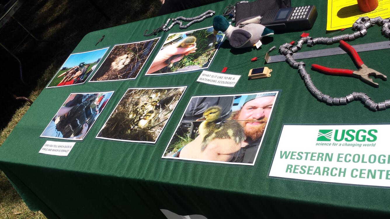 Waterfowl photos at USGS outreach booth