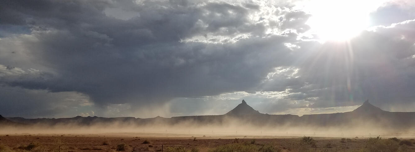 Dust storm in a dryland ecosystem