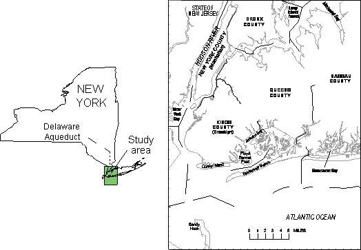 outline of New York state with green square marking study area
