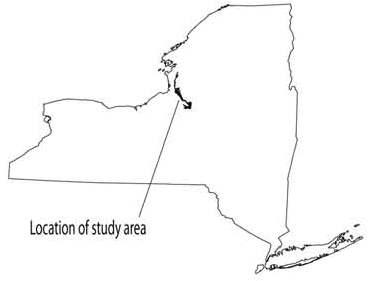 outline of New York state with black area for study location