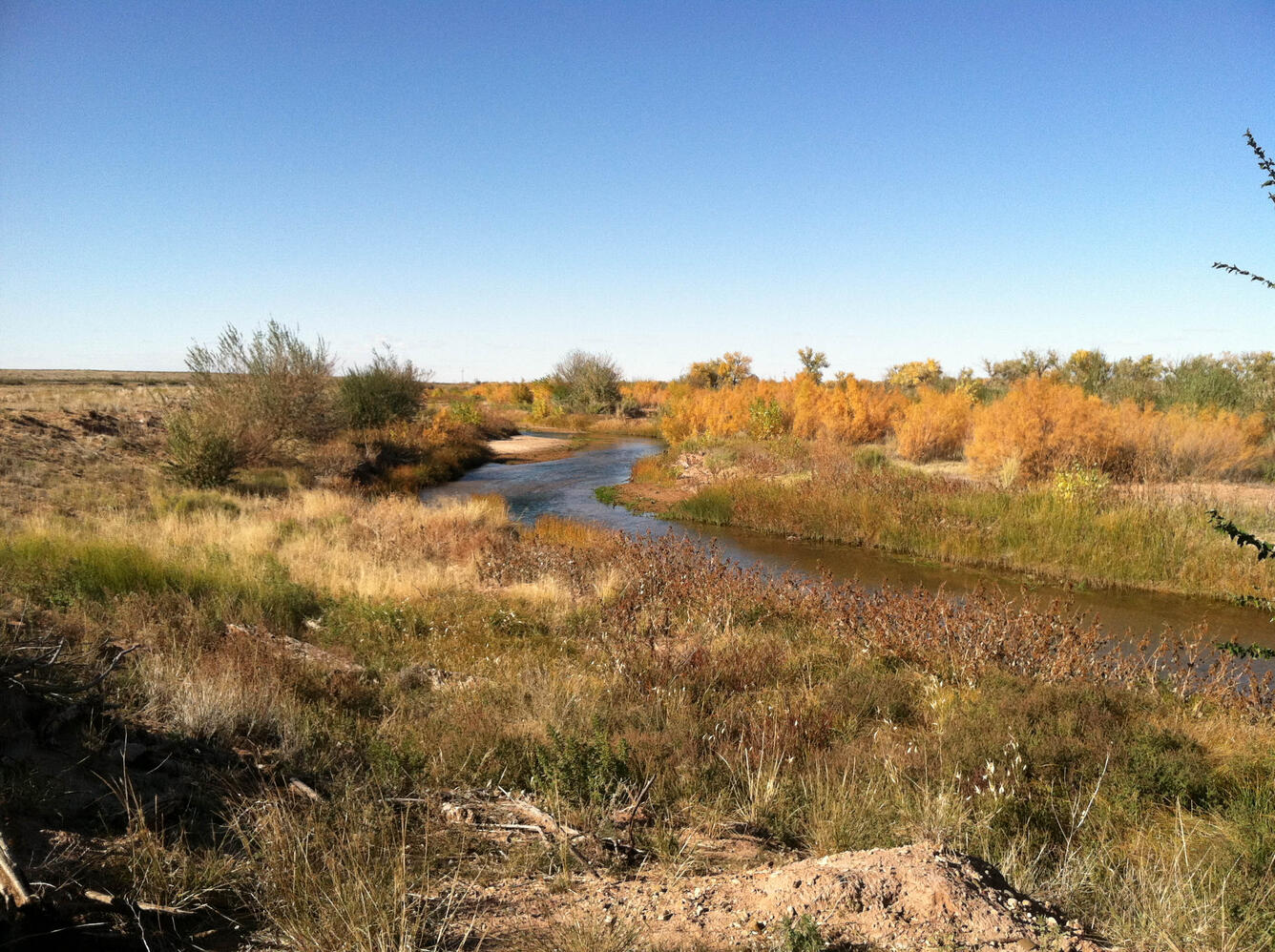 Pecos River at Vaughan Ranch, NM