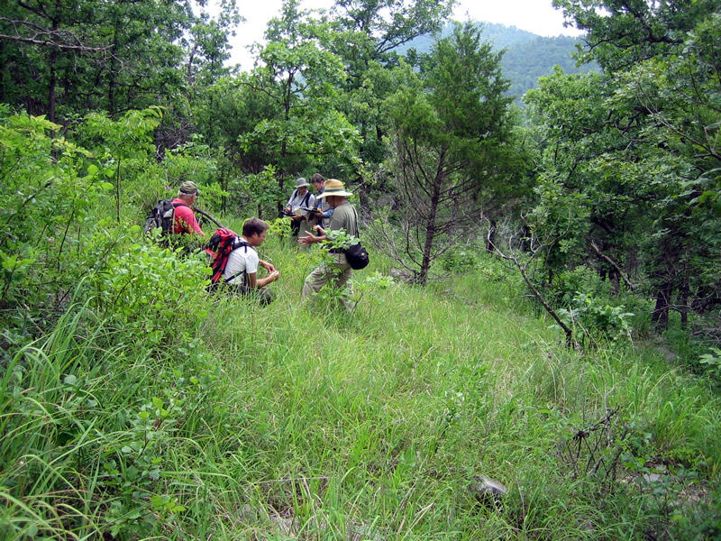 Ecologists and mappers discussing a goat prairie in the Buffalo National River.