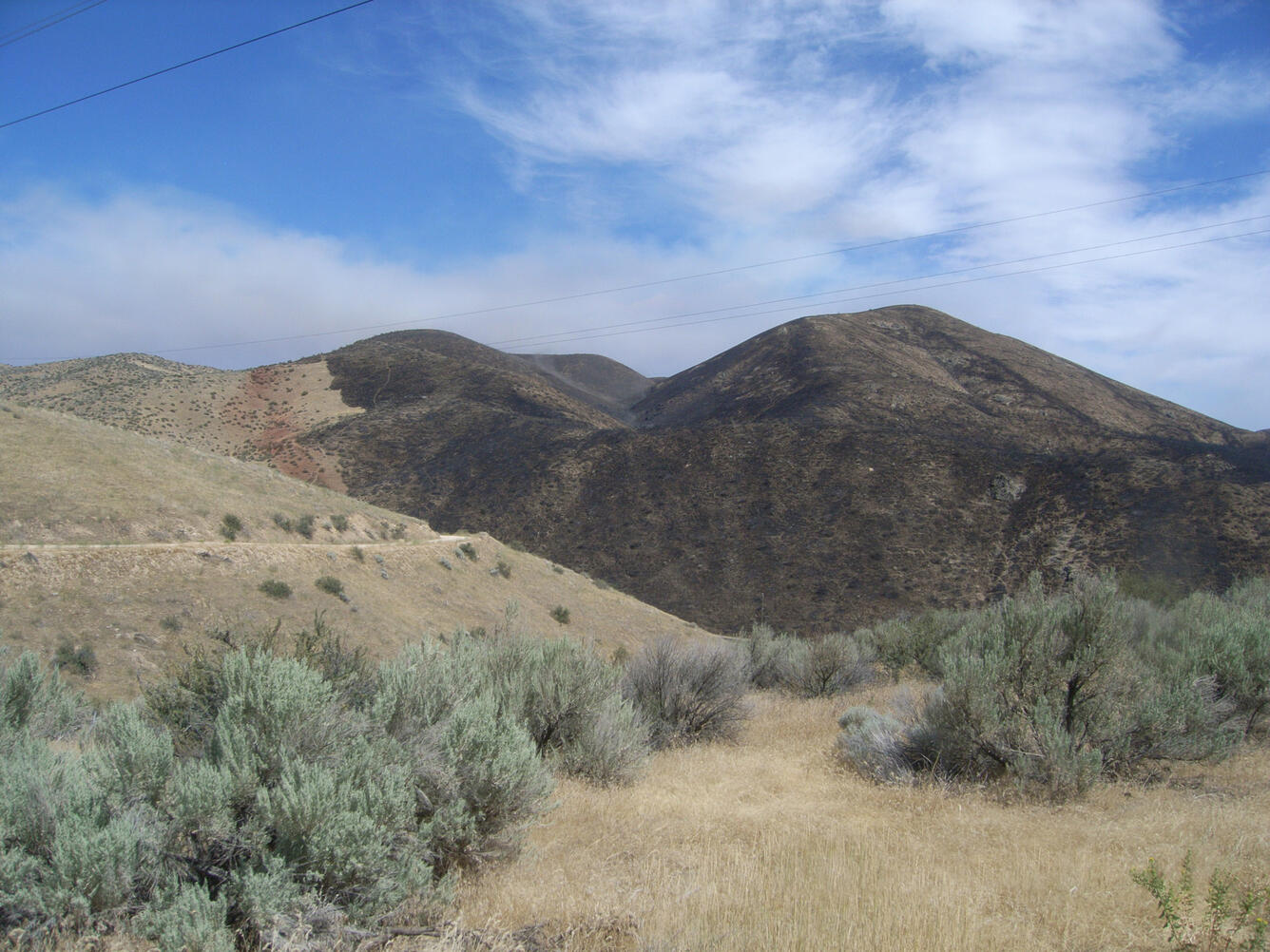 color photo of rangeland after a fire