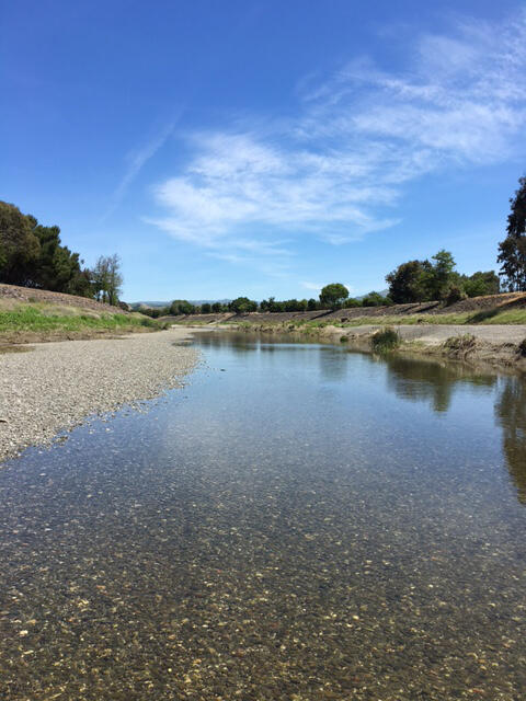 Alameda Creek, California