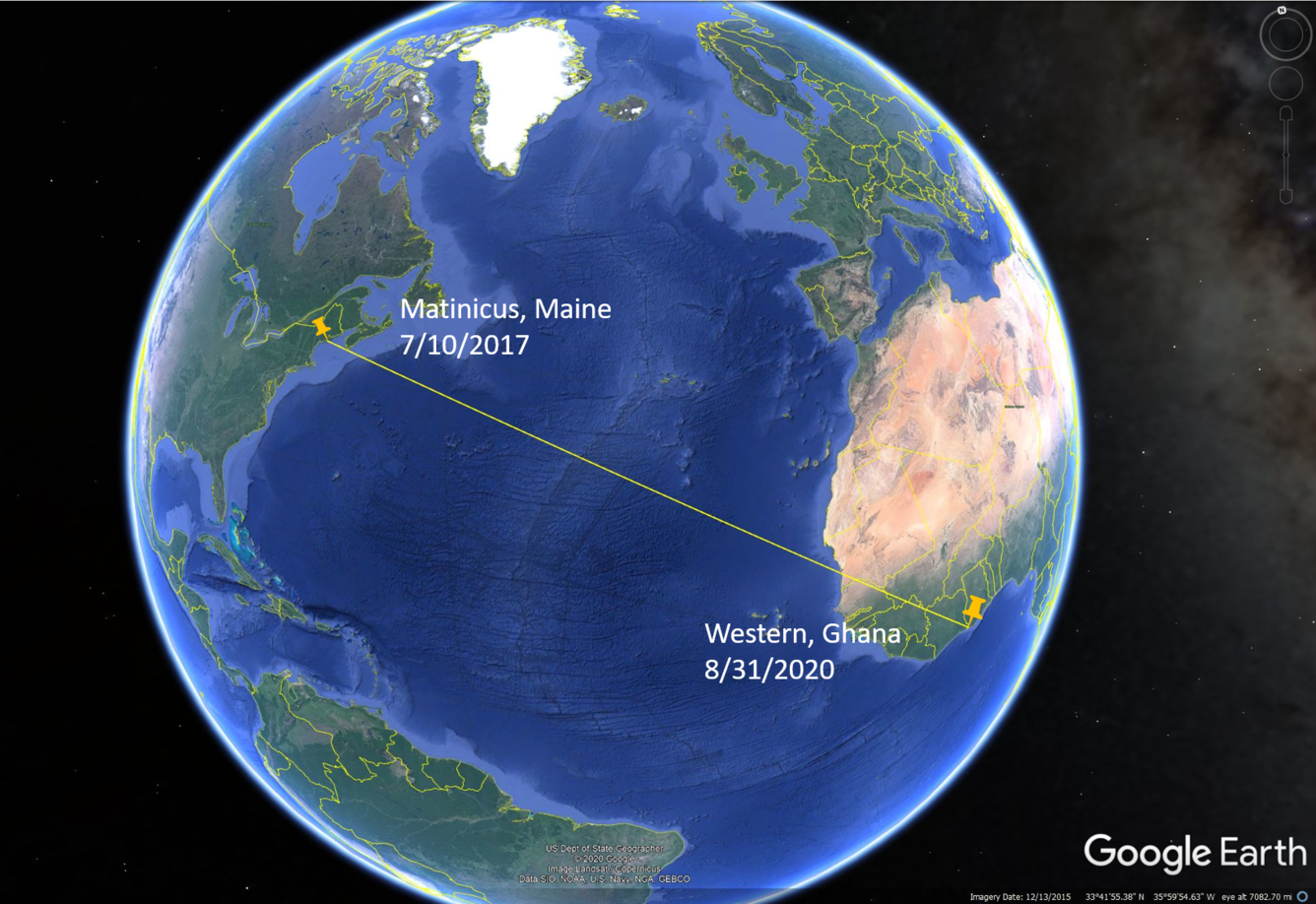 A map showing the ~4,800 miles of distance between where the Arctic Tern was banded in Maine to Ghana, Africa