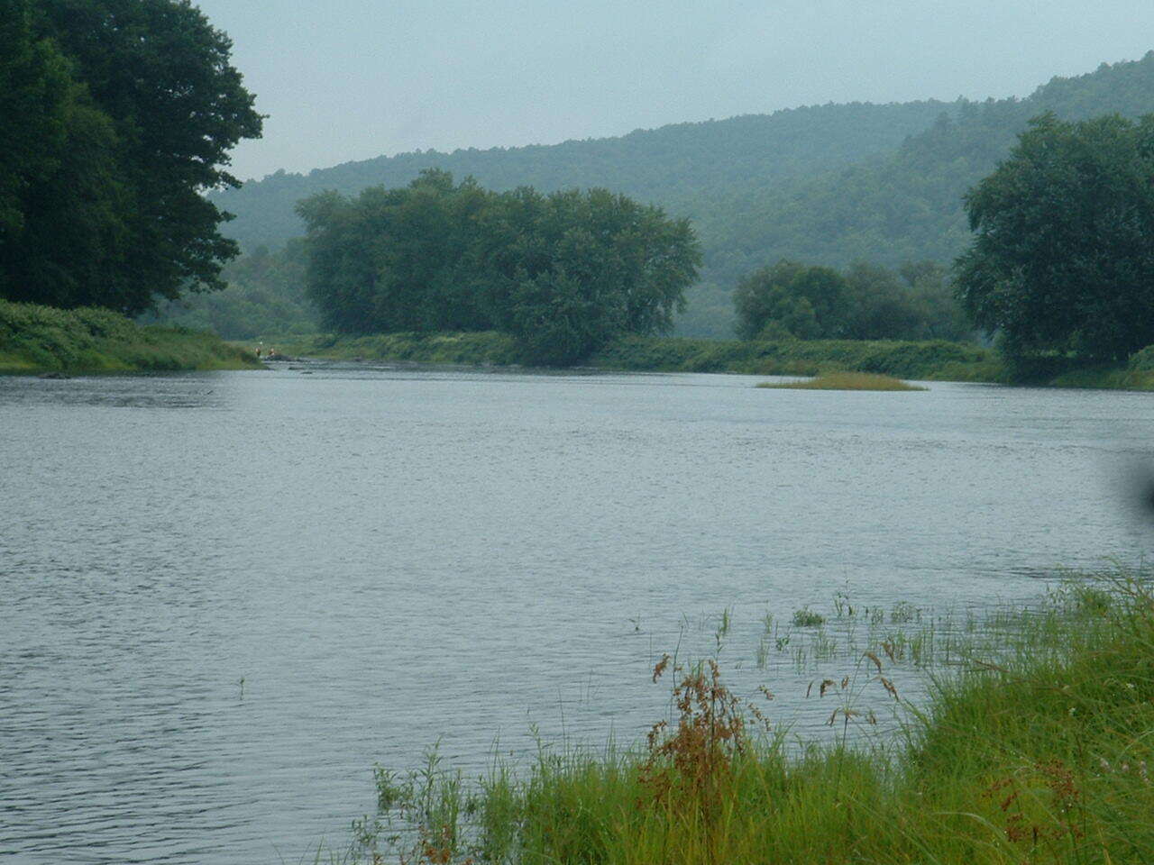 Delaware River near Callicoon, NY - median flow