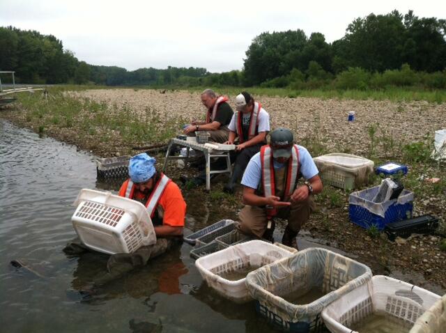 USGS IN WSC staff collecting biological samples