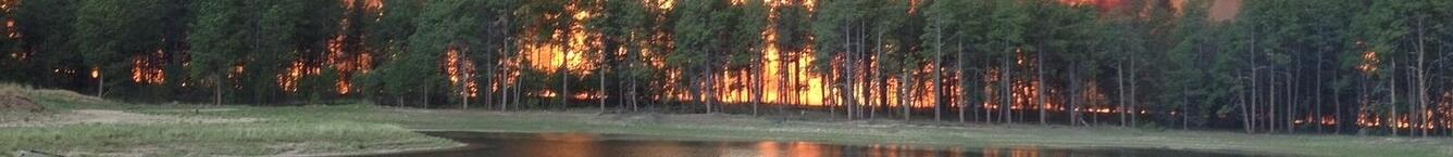 Image of a fire burning behind treeline, with a stream in the foreground