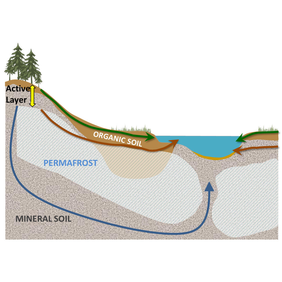 A conceptual model of effect of permafrost on catchment hydrology.