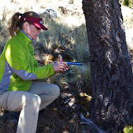 USGS Geographer Becky Brice coring tree