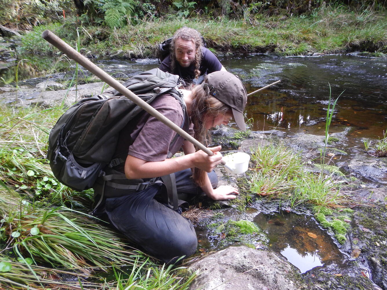 Two biologists crouched next to stream using a dip nets to sample for mosquitoes