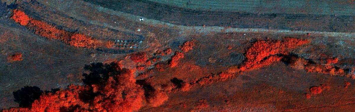 MicaSense RedEdge NIR image at Rocky Flats