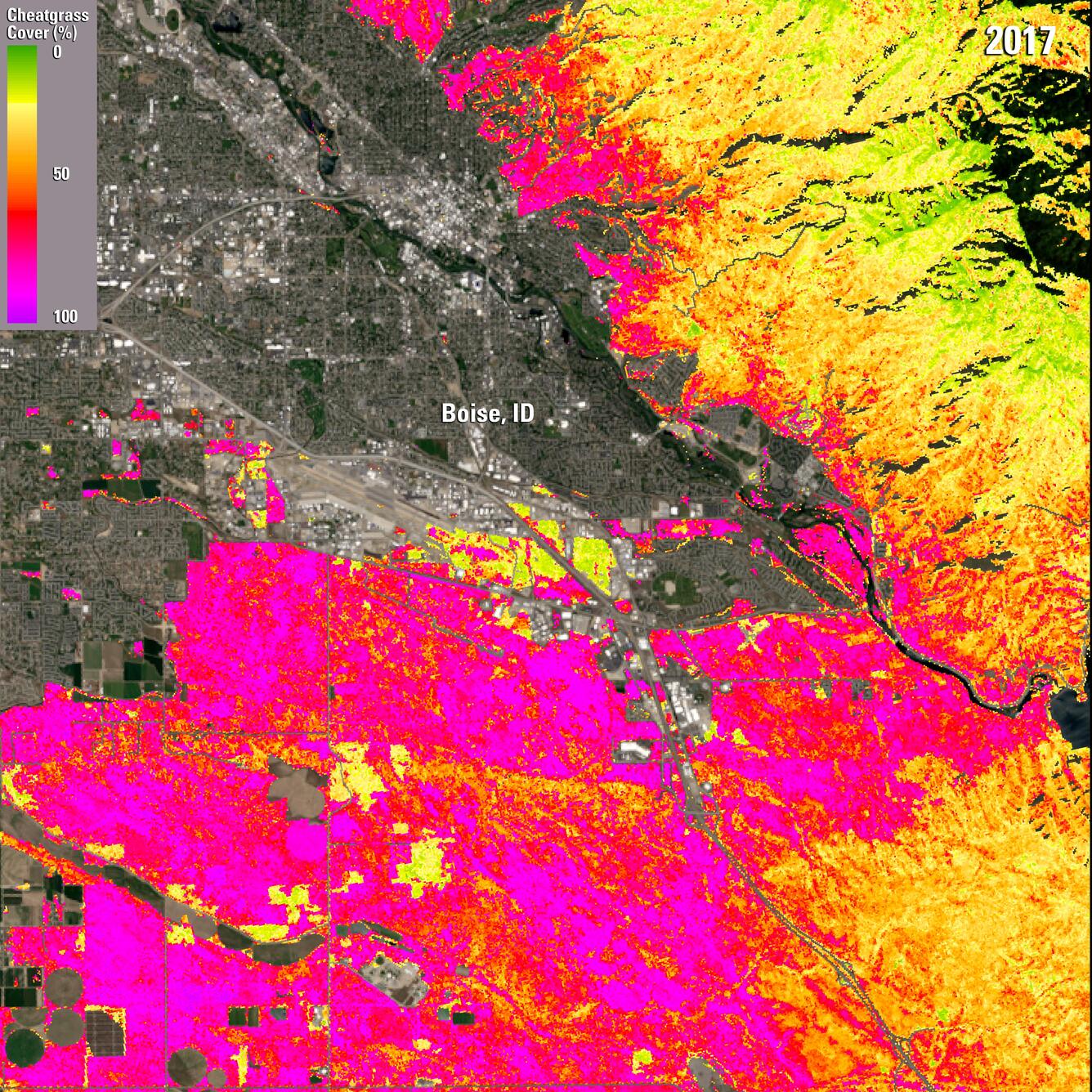 Color image of Boise, ID area, overlaid with a near real time cheatgrass map from 2017