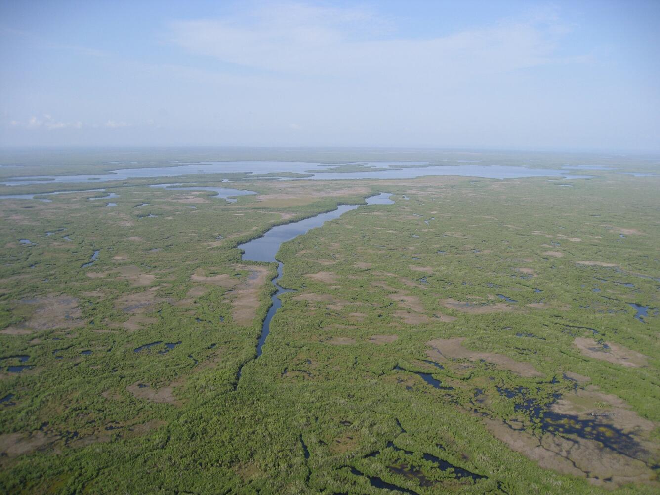 Coastal Everglades