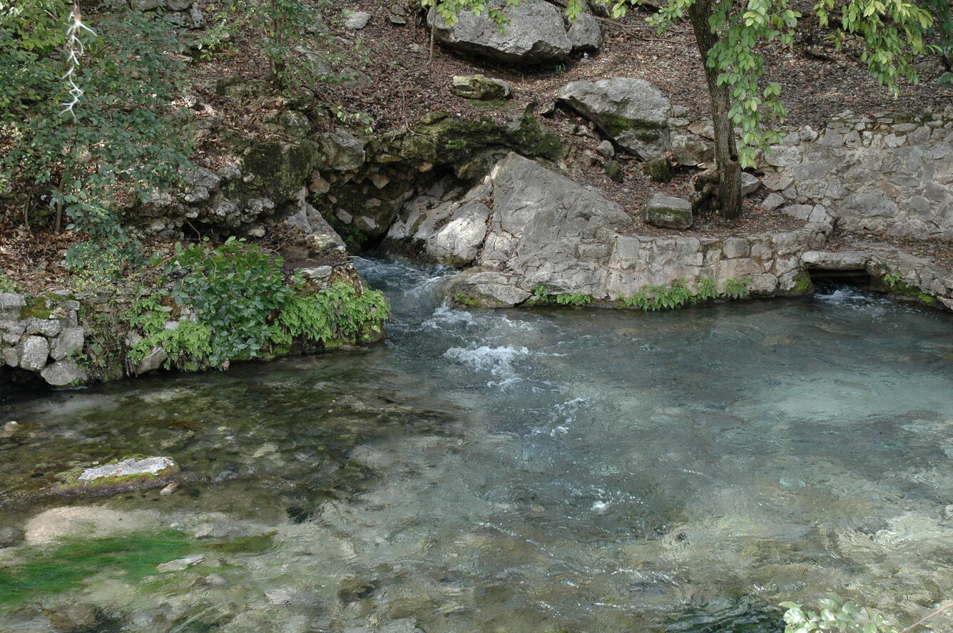 Comal Springs