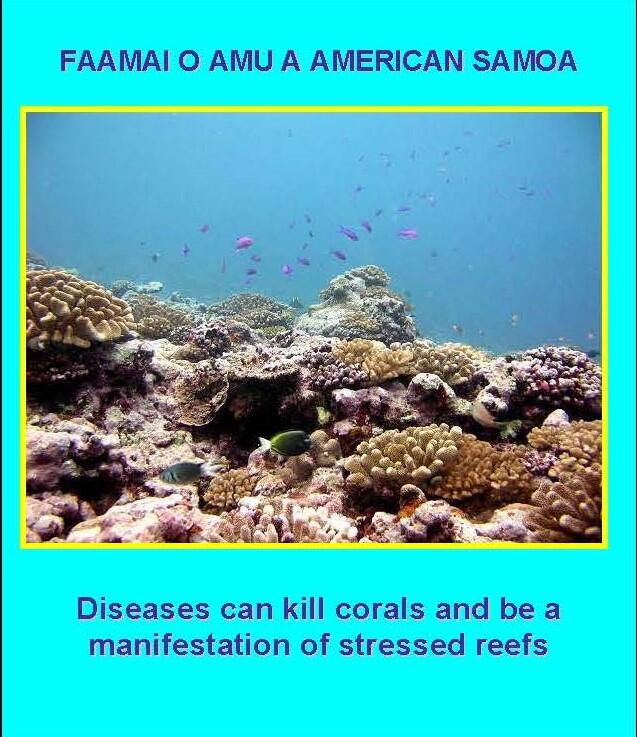 Coral disease cards American Samoa