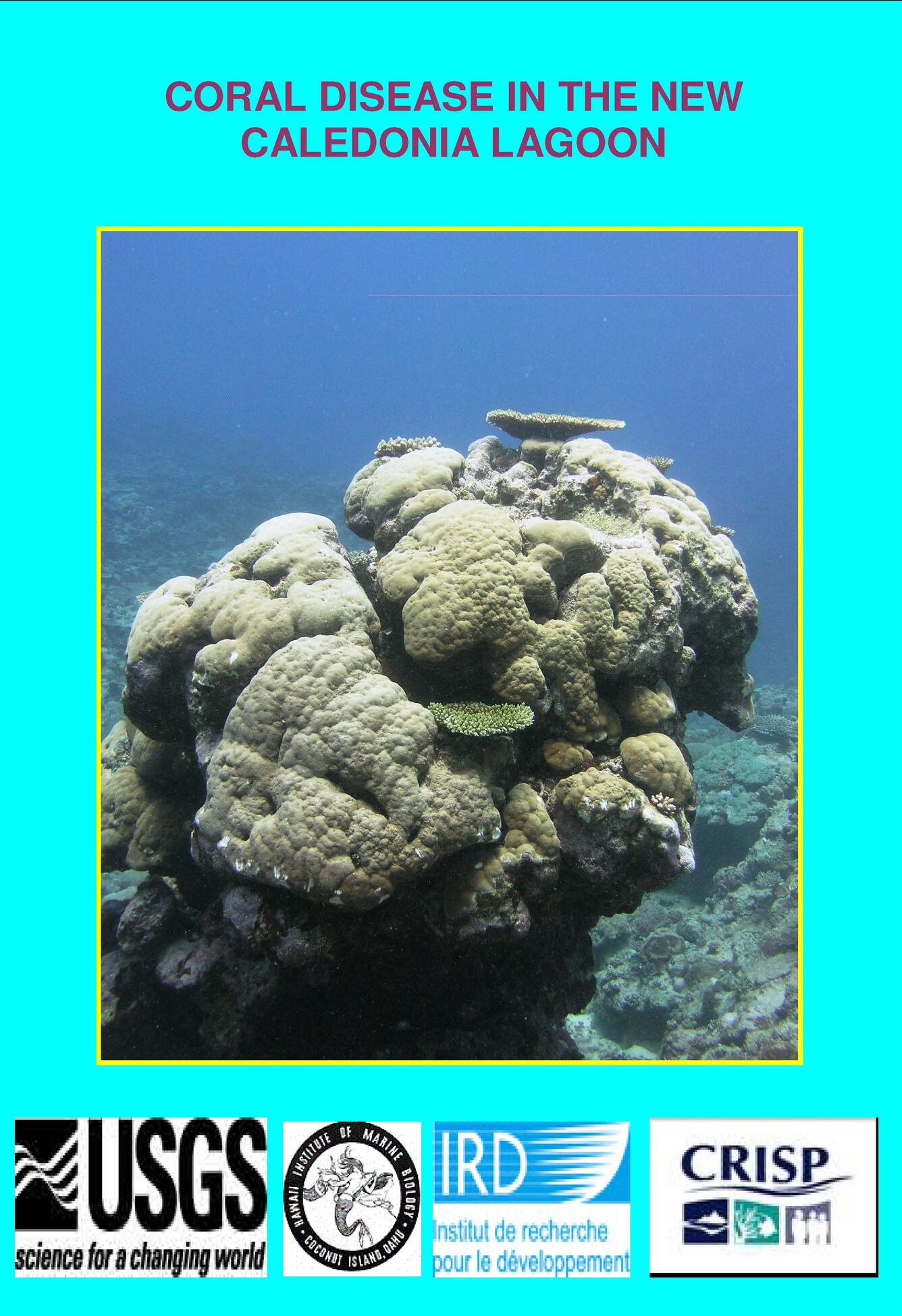 Coral disease cards New Caledonia English