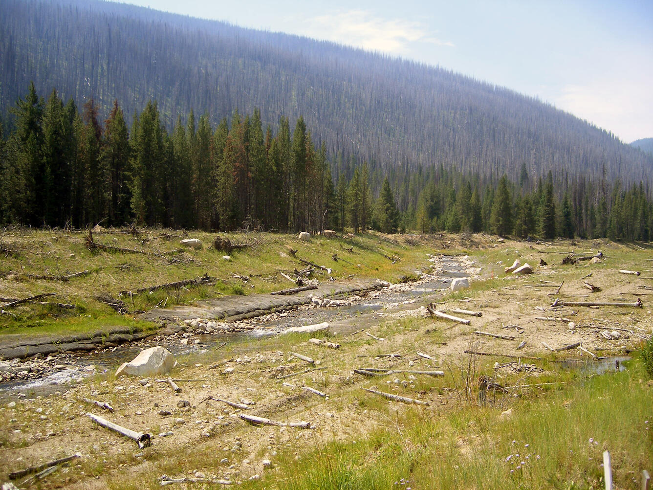 A post-mining restoration project on Meadow Creek, Idaho