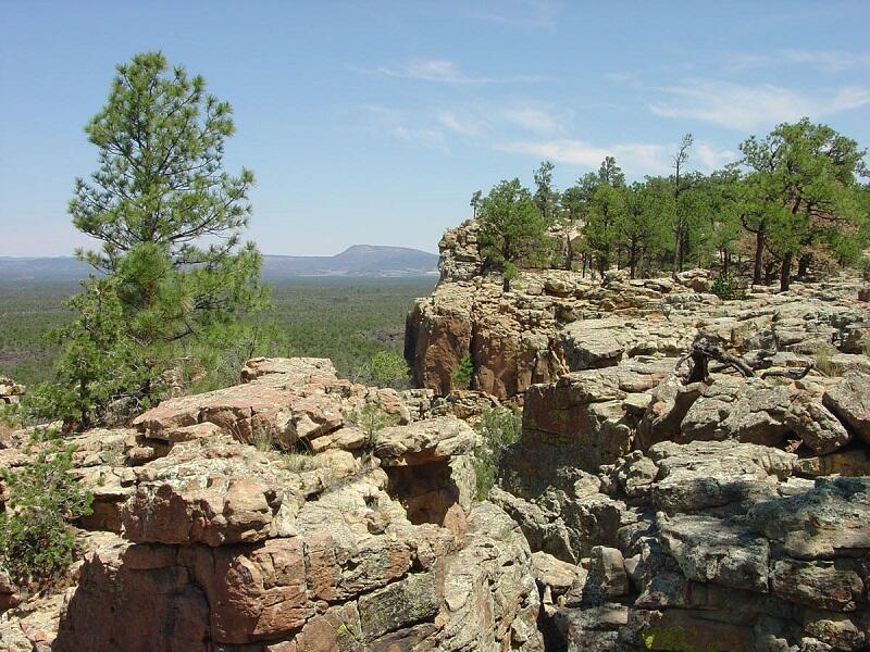 This is a photo of the Narrows Rim Trail.